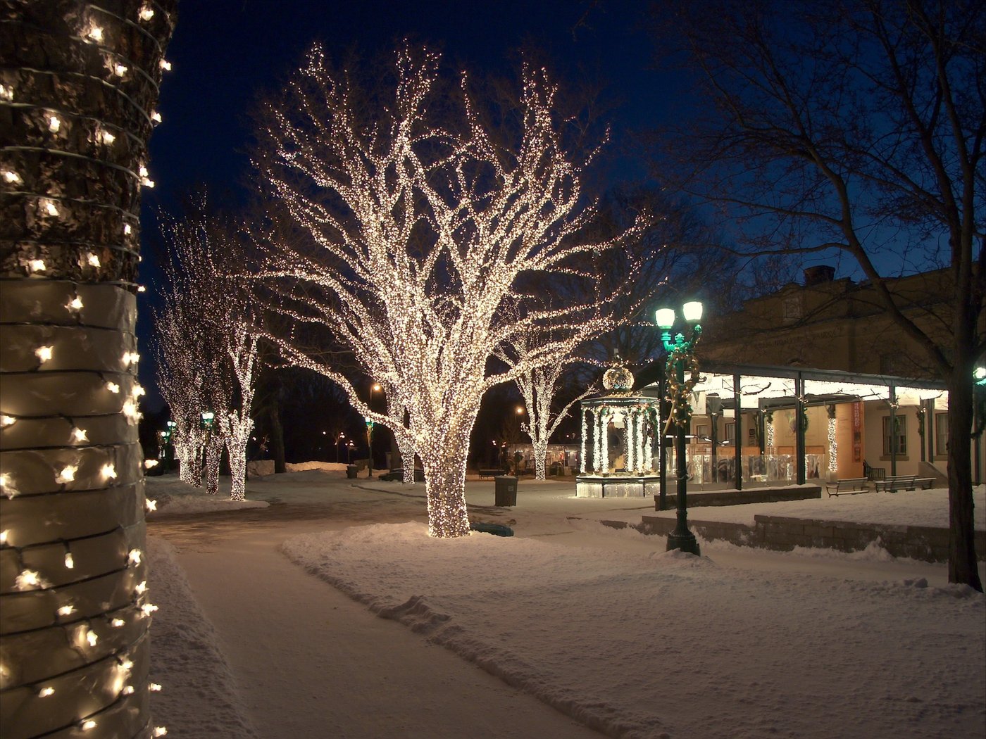 Parc ou rue municipale décorée de lumières